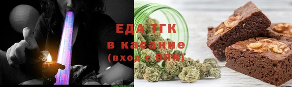 хмурый Алексин