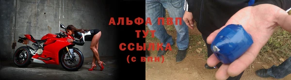 шишки Ростов