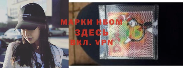 хмурый Алексин