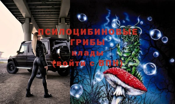 шишки Алзамай