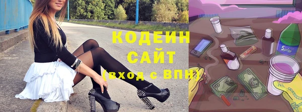 хмурый Алексин