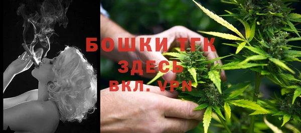 хмурый Алексин