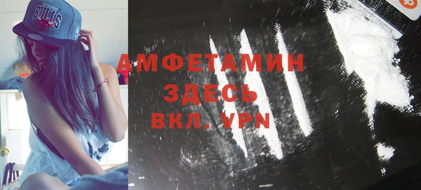хмурый Алексин
