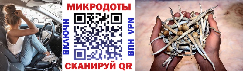 Псилоцибиновые грибы Psilocybe  где продают   hydra tor  Дорогобуж 